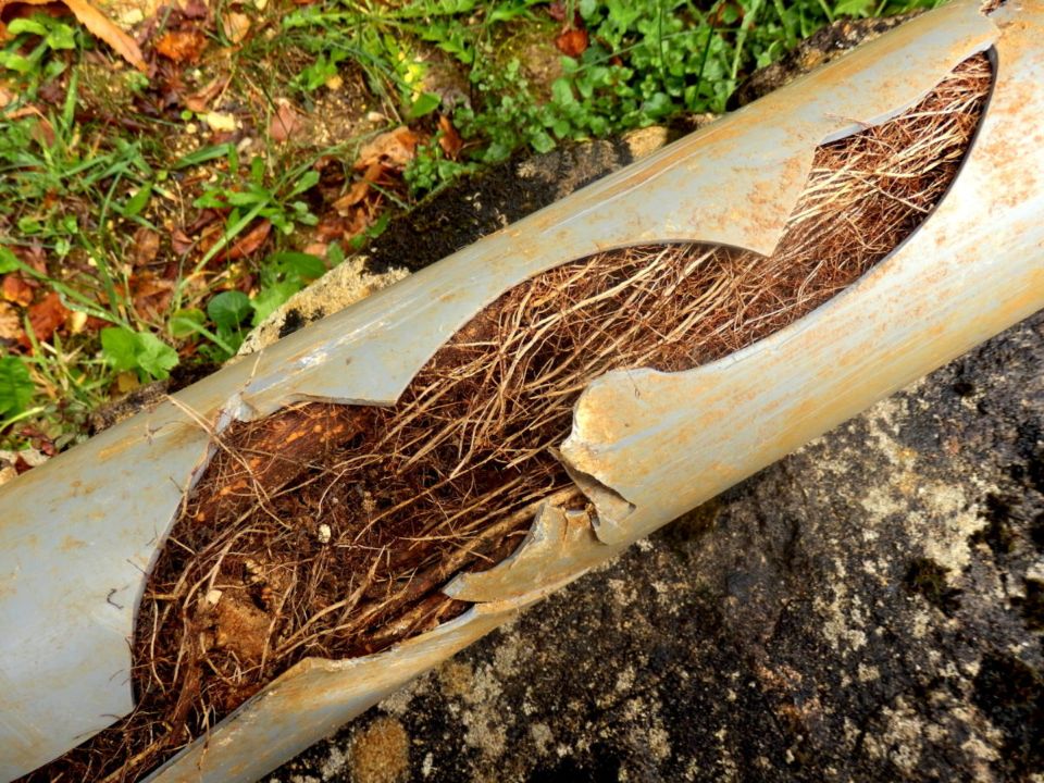 Sewer Line Replacement Rock Hill SC