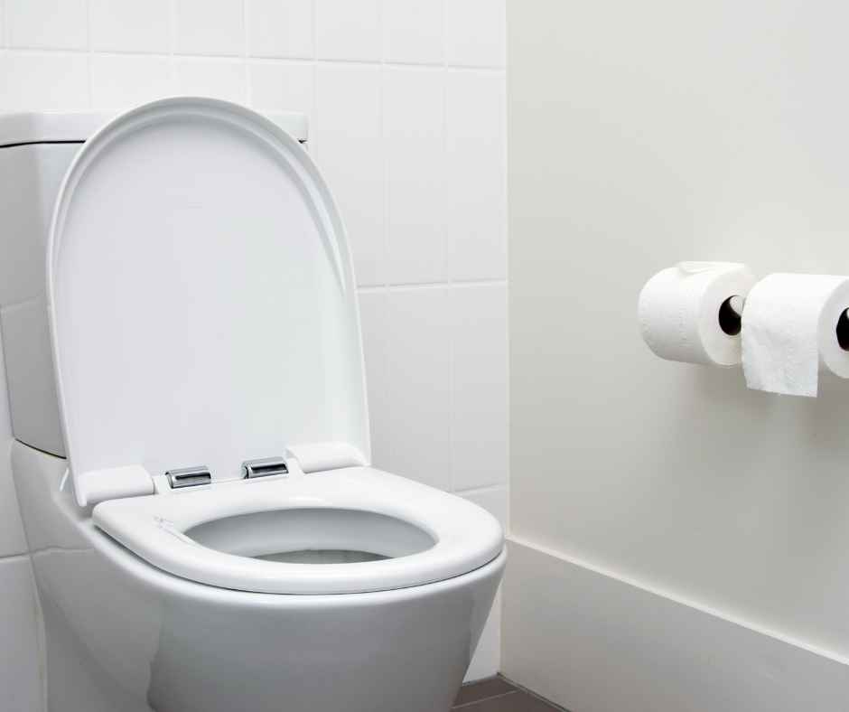 Toilet in a bathroom with toilet paper nearby